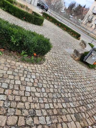 Austausch zur Fotografie-Beitrag-Bild