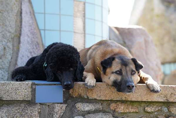 Austausch zur Fotografie-Beitrag-Bild