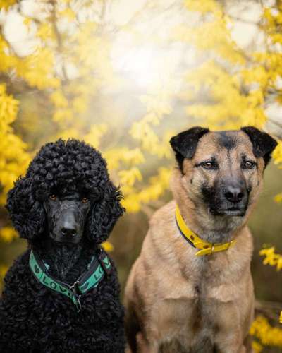 Austausch zur Fotografie-Beitrag-Bild