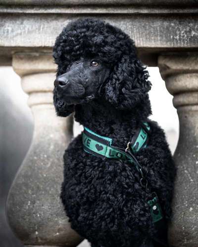 Austausch zur Fotografie-Beitrag-Bild