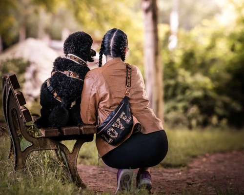 Austausch zur Fotografie-Beitrag-Bild