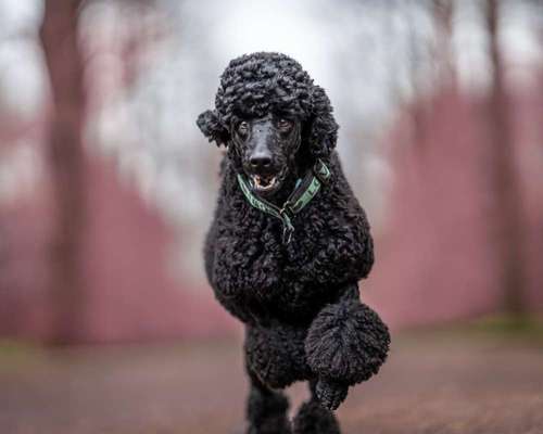 Austausch zur Fotografie-Beitrag-Bild