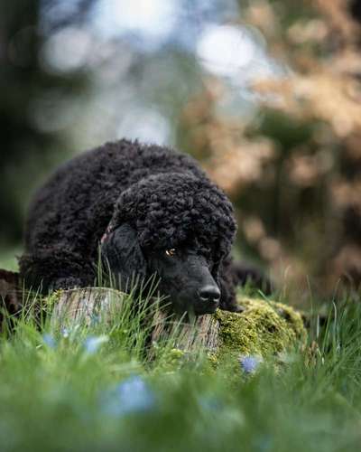 Austausch zur Fotografie-Beitrag-Bild