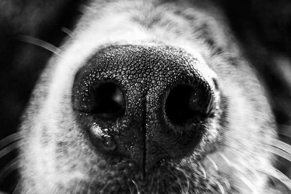 Blick fürs Detail!-Beitrag-Bild