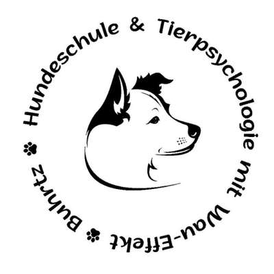 Hundeschulen-Hundeschule und Tierpsychologie Buhrtz-Bild