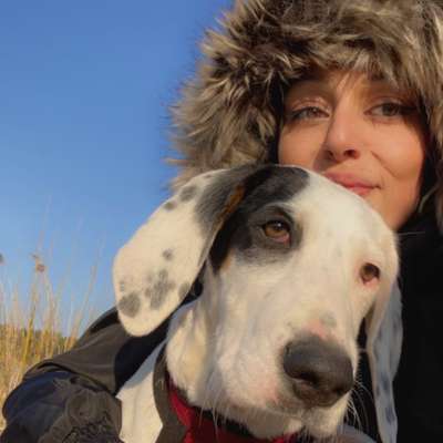 Hundetreffen-Training & Spielen-Bild