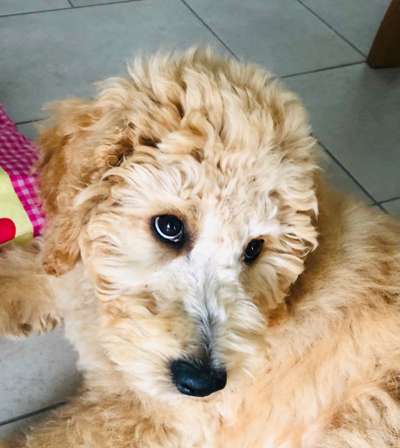 Blick fürs Detail!-Beitrag-Bild