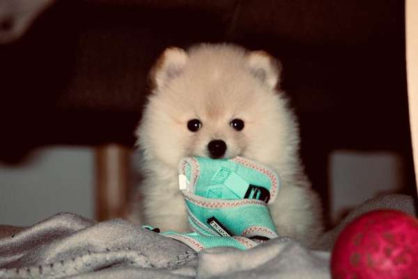 Fotochallenge Nr. 64-Beitrag-Bild