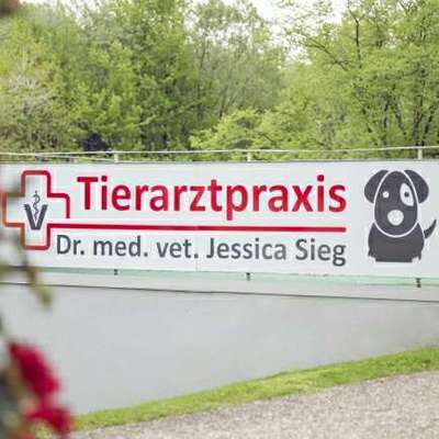 Tierärzte-Dr. Jessica Sieg-Bild