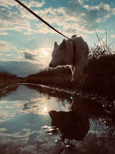 Farben Fotochallenge Sonnenlicht-Beitrag-Bild