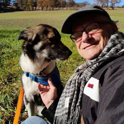 Hundetreffen-Gassirunde in Rottenburg Laaber