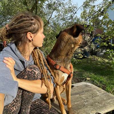 Hundetreffen-Social Walks