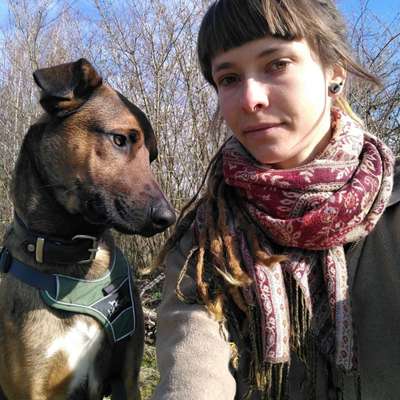 Hundetreffen-Social Walks-Profilbild