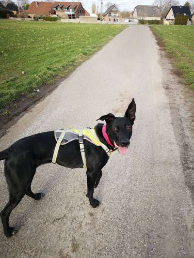 Gibt es Namens-Verwandte-Beitrag-Bild