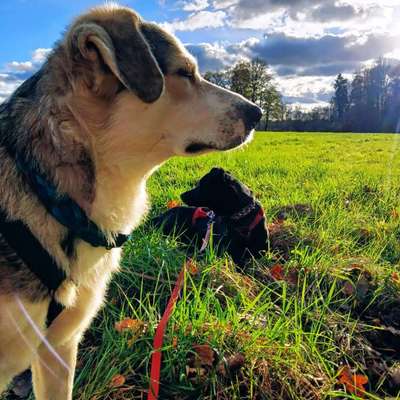 Was hat euch heute gefreut?-Beitrag-Bild