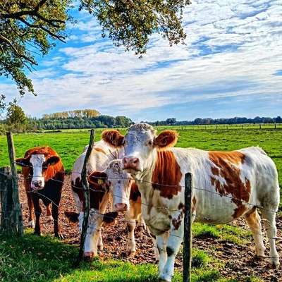 Was hat euch heute gefreut?-Beitrag-Bild