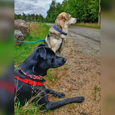 Was hat euch heute gefreut?-Beitrag-Bild