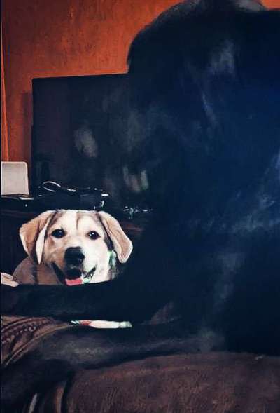 154. FotoChallenge * AUFS BILD GEMOGELT *-Beitrag-Bild