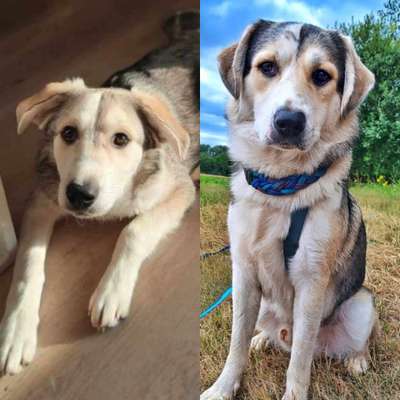 Ach, wie schnell die Zeit vergeht-Beitrag-Bild