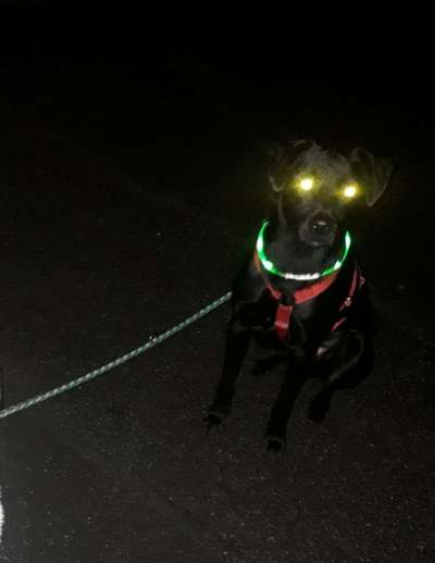 Was hat euch heute genervt?-Beitrag-Bild