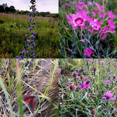 Was hat euch heute gefreut?-Beitrag-Bild