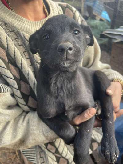 Sie werden so schnell erwachsen ...-Beitrag-Bild