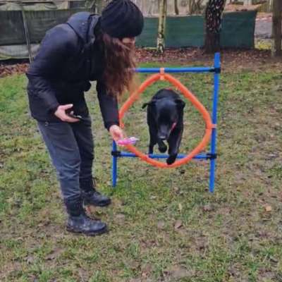 Was hat euch heute gefreut?-Beitrag-Bild