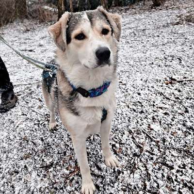 Was hat euch heute gefreut?-Beitrag-Bild