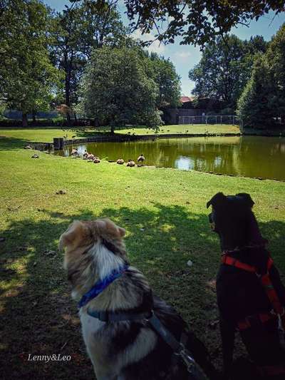 Was hat euch heute gefreut?-Beitrag-Bild