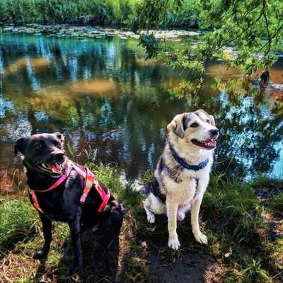 aktuelles Foto Gruppe Wandern und Outdoor