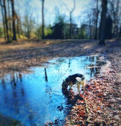 Was hat euch heute gefreut?-Beitrag-Bild