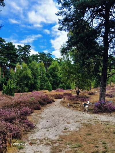 Was hat euch heute gefreut?-Beitrag-Bild