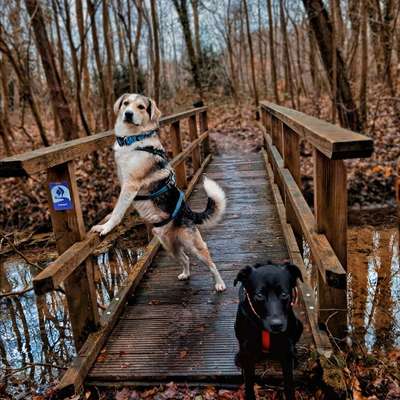 aktuelles Foto Gruppe Wandern und Outdoor