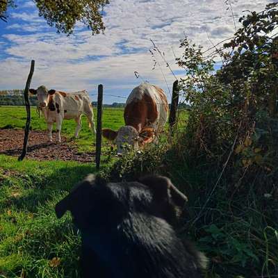 Was hat euch heute gefreut?-Beitrag-Bild