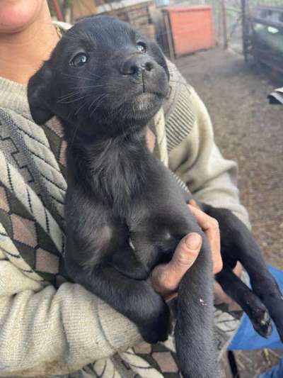 Sie werden so schnell erwachsen ...-Beitrag-Bild