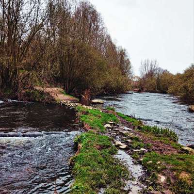 aktuelles Foto Gruppe Wandern und Outdoor