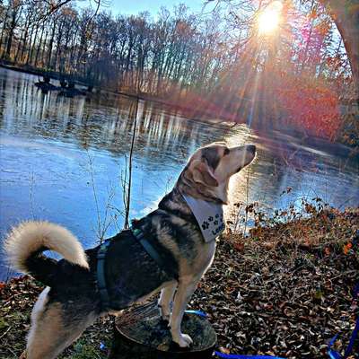 Was hat euch heute gefreut?-Beitrag-Bild