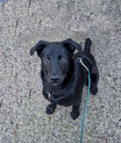 Lieblings Fotos-Beitrag-Bild