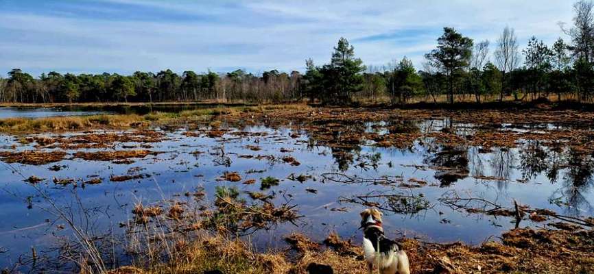 Was hat euch heute gefreut?-Beitrag-Bild