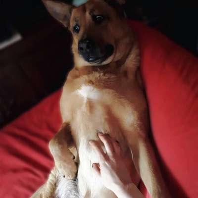 Was hat euch heute gefreut?-Beitrag-Bild