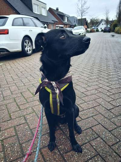 Was hat euch heute genervt?-Beitrag-Bild