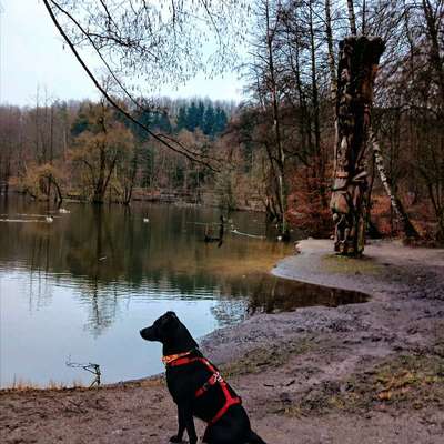 aktuelles Foto Gruppe Wandern und Outdoor