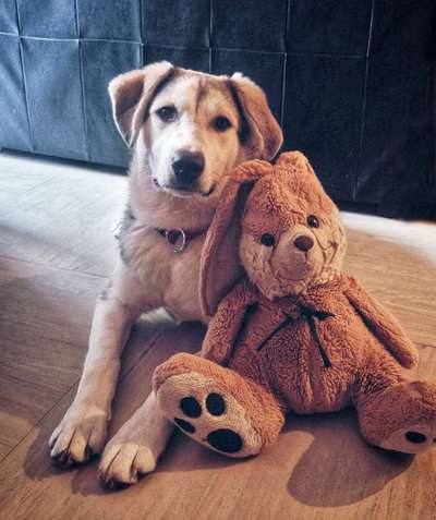 Lieblings Fotos-Beitrag-Bild