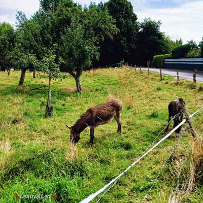 Was hat euch heute gefreut?-Beitrag-Bild