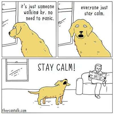 Hunde Memes-Beitrag-Bild