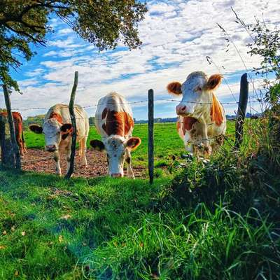 Was hat euch heute gefreut?-Beitrag-Bild