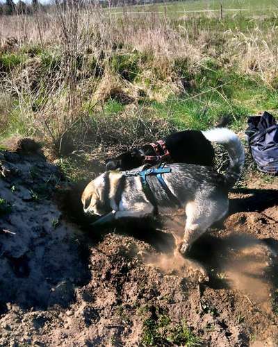 Was hat euch heute gefreut?-Beitrag-Bild