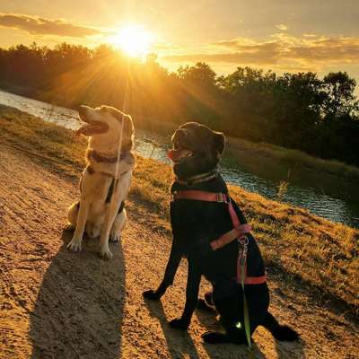 aktuelles Foto Gruppe Wandern und Outdoor