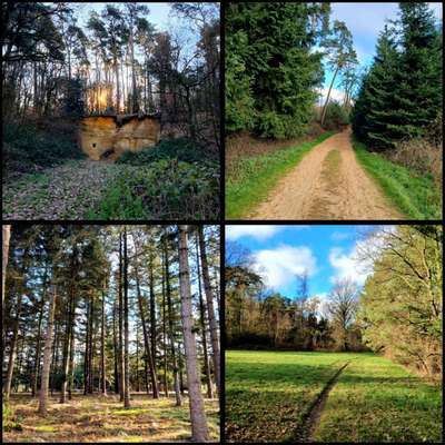 aktuelles Foto Gruppe Wandern und Outdoor