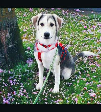 Zeigt eure Portraits-Beitrag-Bild